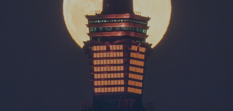 How Supply Demand EA ProBot Turned 7 Trades into $1,000! (15/1/2025) – Analytics & Forecasts – 15 January 2025