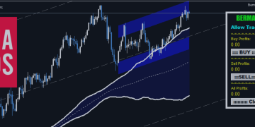 Berma Home Blog – Analytics & Forecasts – 29 January 2025