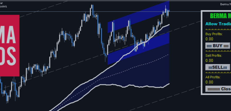 Berma Home Blog – Analytics & Forecasts – 29 January 2025