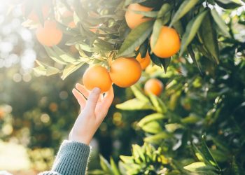 These red flags can trigger an IRS tax audit, experts say