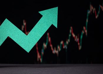 Crypto Market Trends: What to Expect in February 2025