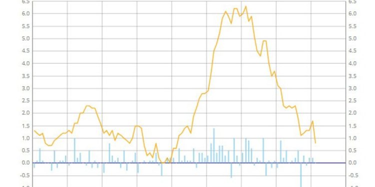 France February preliminary CPI +0.8% vs +1.0% y/y expected
