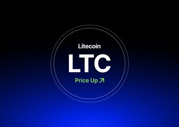 LTC Leads Market Gains with 11% Jump