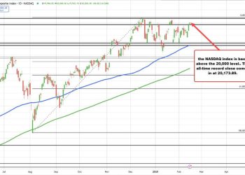 NASDAQ jumps above 20k mark; S&P nears record close