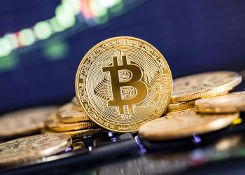 Bitcoin Is Basically a ‘Meme Coin’