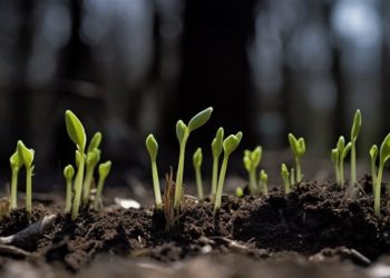 China Consumer Price inflation picked up in January, accelerated faster than expected