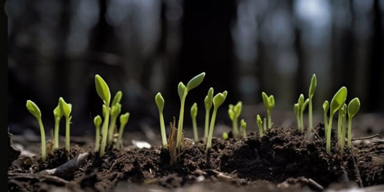 China Consumer Price inflation picked up in January, accelerated faster than expected