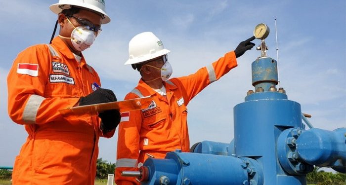 Jadestone shareholder increases stake as production jumps