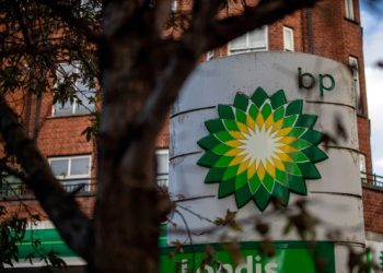 BP shows activists are often pushing at an open door