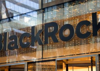 BlackRock halts meetings with companies after SEC cracks down on ESG