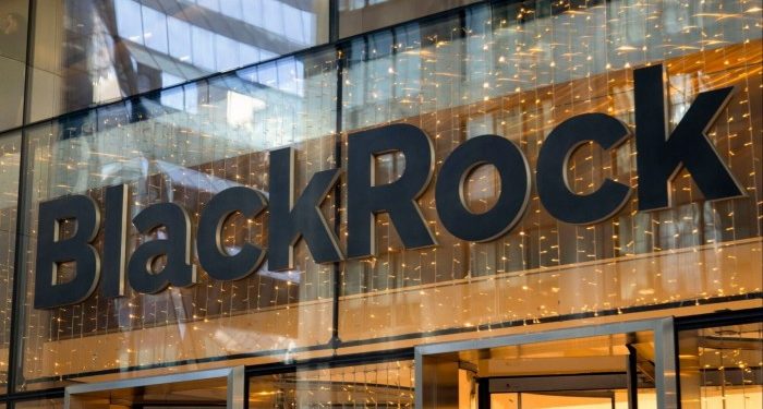 BlackRock halts meetings with companies after SEC cracks down on ESG
