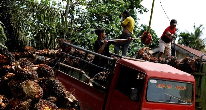 Producers braced for glut of palm oil after Indonesia curbs exports