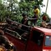 Producers braced for glut of palm oil after Indonesia curbs exports