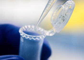 Scientists warn Trump’s $4bn funding cuts will harm US medical research