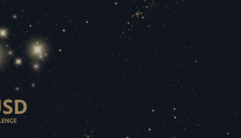 How To Setup EUROMT5 – Trading Strategies – 1 February 2025