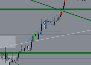 RSI Trend: Clear Vision and Real Experience – Crude Oil – Analytics & Forecasts – 11 February 2025