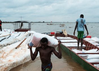 This USAID Program Made Food Aid More Efficient for Decades. DOGE Gutted It Anyways
