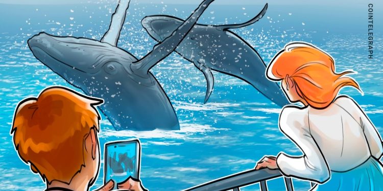 ZachXBT says he unmasked mysterious 50x Hyperliquid whale