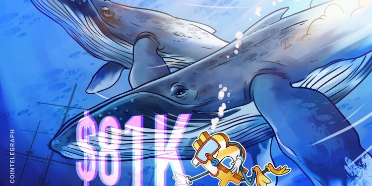 Bitcoin whale accumulation trend mirrors 2020-era bullish activity after BTC price bounces off $81K