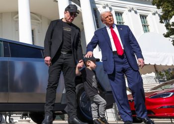 Wall Street analysts say Musk is clear auto tariff winner