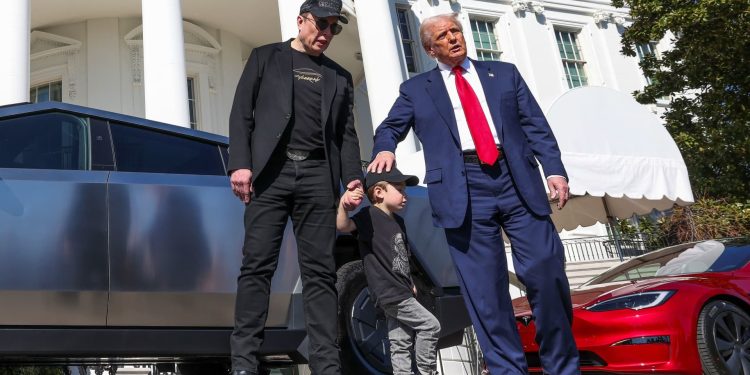 Wall Street analysts say Musk is clear auto tariff winner