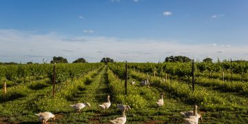 What Products Could Europe Levy in Retaliation to Trump’s Tariffs?