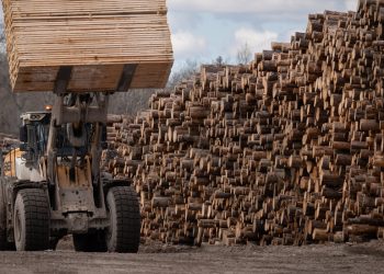 Trump Picks Another Trade Fight With Canada Over Lumber