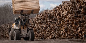 Trump Picks Another Trade Fight With Canada Over Lumber