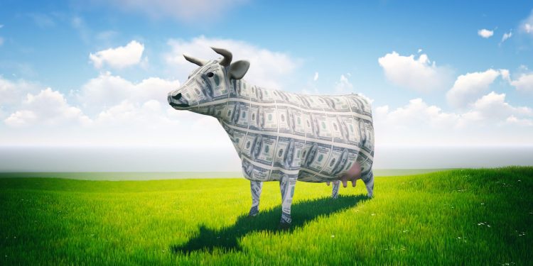 The Bullish Trade Setups to Watch Now