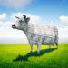 The Bullish Trade Setups to Watch Now