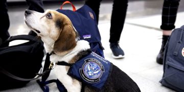 DOGE’s Cuts at the USDA Could Cause US Grocery Prices to Rise and Invasive Species to Spread