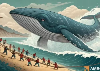 Bitcoin: Retail traders bet big on BTC – Will whales prove them wrong?