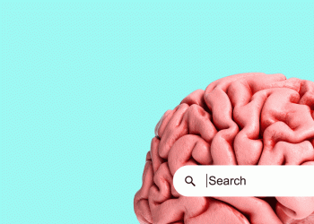 Shoppers are flocking to AI search