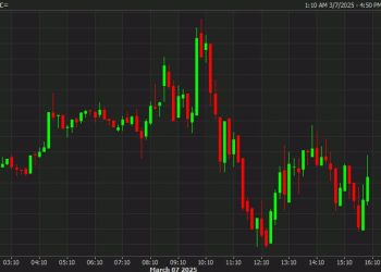 Trump: Government will explore pathways to acquire additional bitcoin holdings