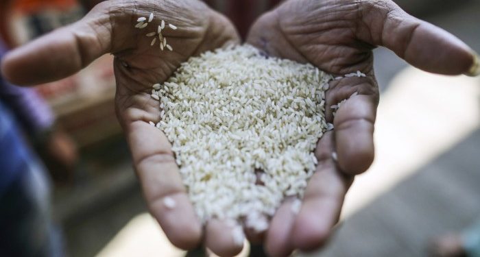 Prices slide as India unwinds ban on rice exports