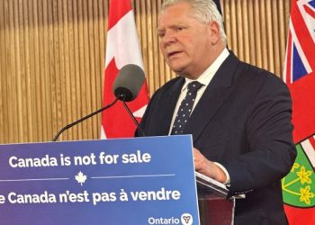 Restricting power across US-Canada border risks grid stability, watchdog warns