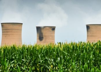 Do financiers believe in sustainability or not?