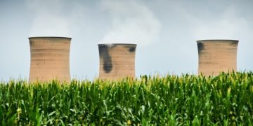 Do financiers believe in sustainability or not?