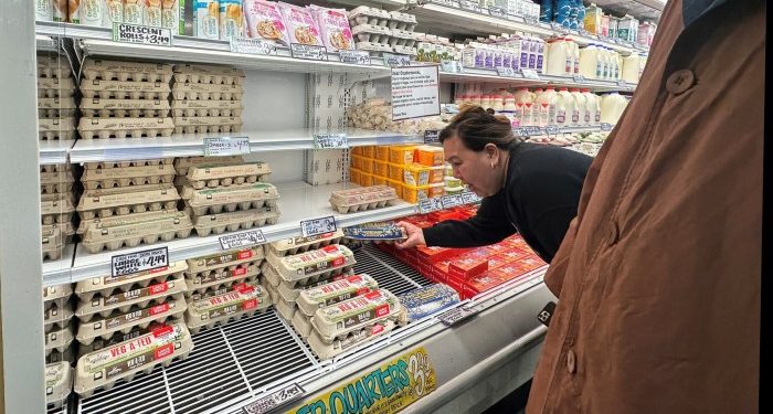 Steep fall in price of eggs prompts questions for US producers