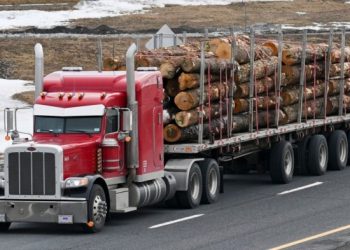 US lumber prices slide on Trump’s Canadian tariffs delay