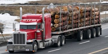 US lumber prices slide on Trump’s Canadian tariffs delay