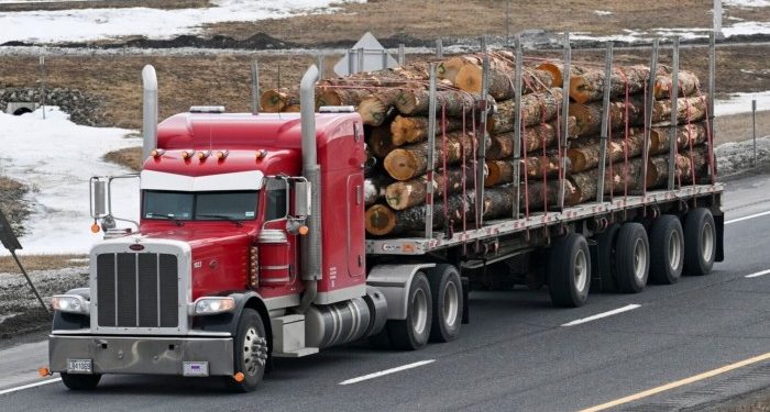 US lumber prices slide on Trump’s Canadian tariffs delay