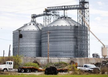 ‘ABCD’ agricultural traders struggle to escape boom-bust cycle