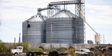 ‘ABCD’ agricultural traders struggle to escape boom-bust cycle