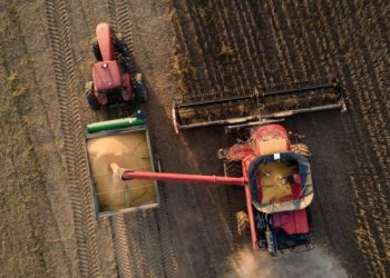 Donald Trump’s tariffs will bring ‘nothing but pain’ to rural America, farmers say