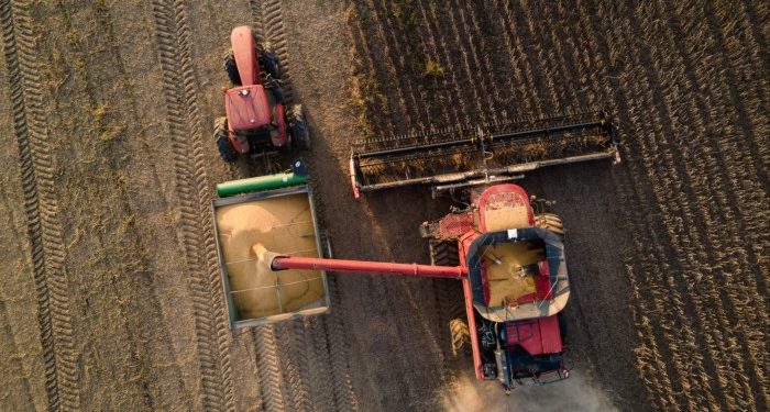 Donald Trump’s tariffs will bring ‘nothing but pain’ to rural America, farmers say