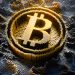 Bitcoin STH Realized Losses Far From 2021 Levels — Is The Bull Run Still On?