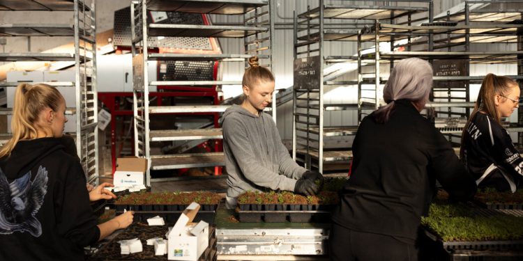 As Trump’s Tariffs Stoke Economic Uncertainty, the Fed Debates Its Next Steps