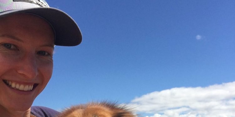 Student loan borrowers face more hurdles to debt forgiveness