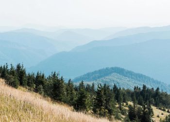 16 Best Side Hustles for Retirees